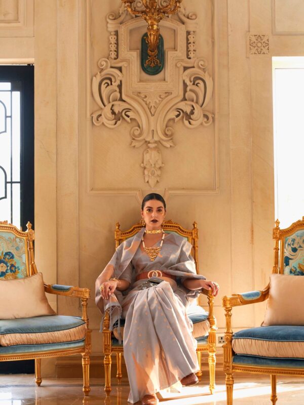 Celestial Aura Kyaari Tissue Saree - Image 6