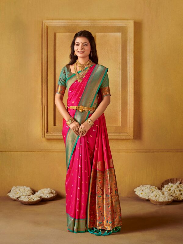 Chandrakor Drapes - Image 5