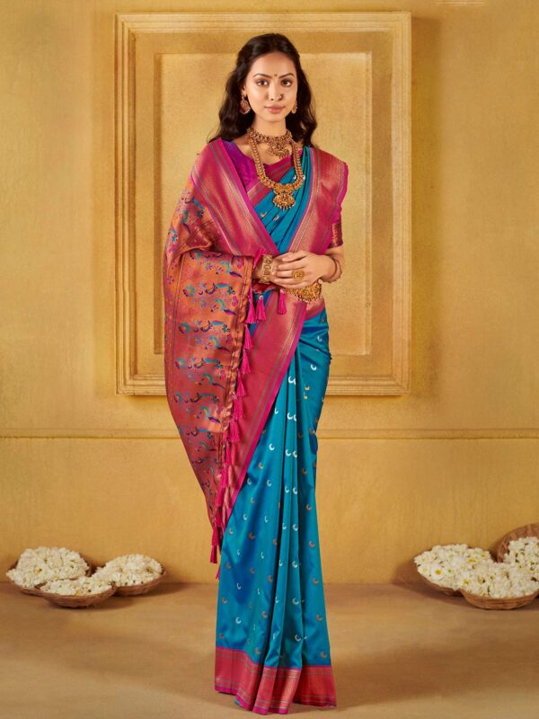 Chandrakor Drapes - Image 3