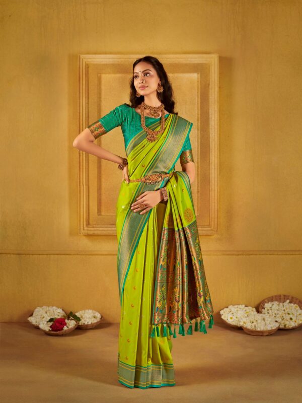 Chandrakor Drapes